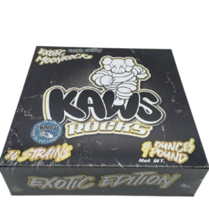 Kaws Rocks Exotic Edition Box